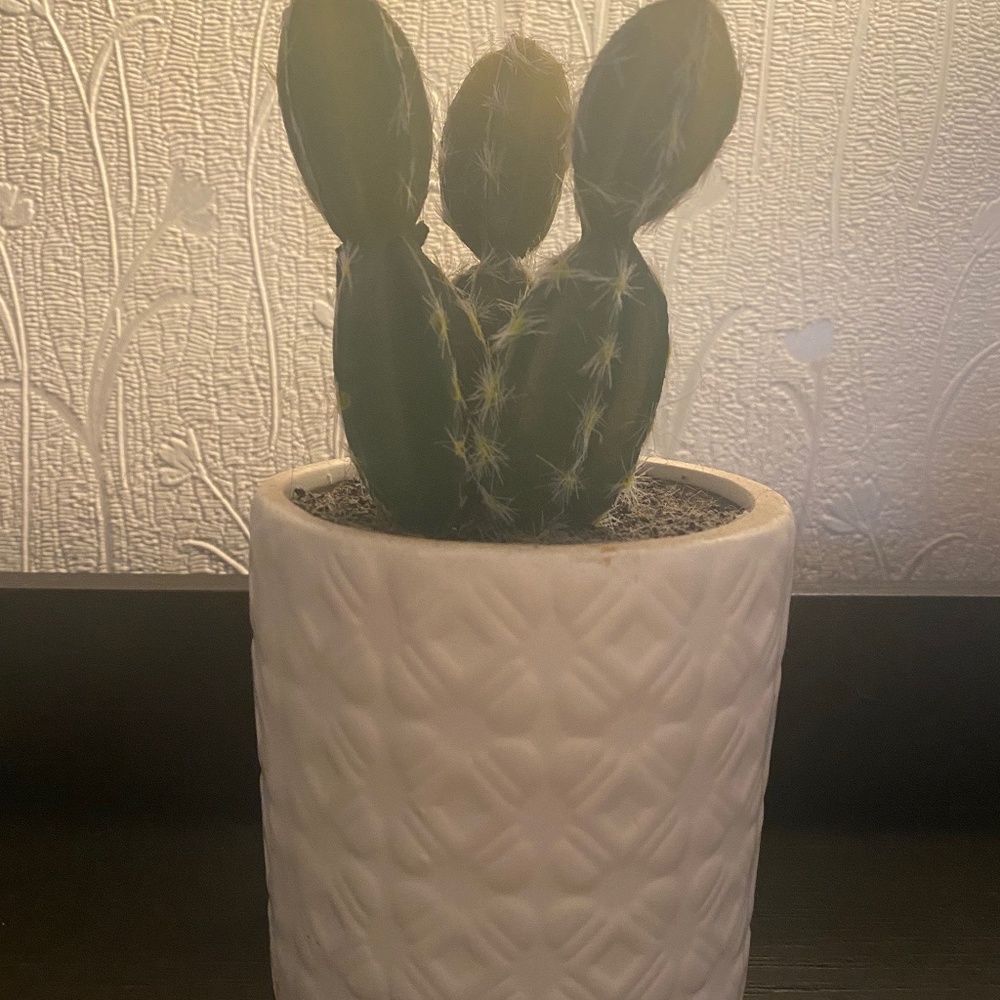 White faux cactus